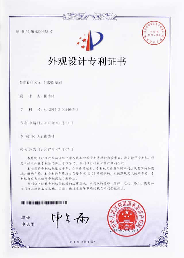 Silicone Bath Brush Patent